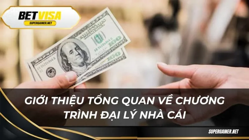 Giới thiệu tổng quan về chương trình đại lý nhà cái