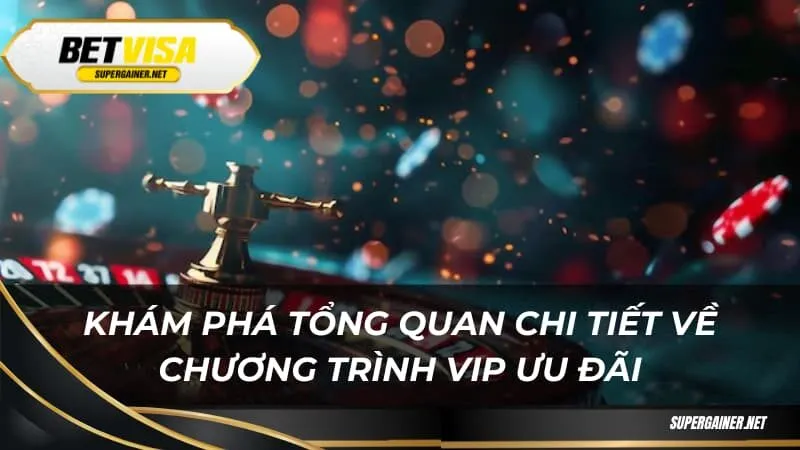 Khám phá tổng quan chi tiết về chương trình vip ưu đãi